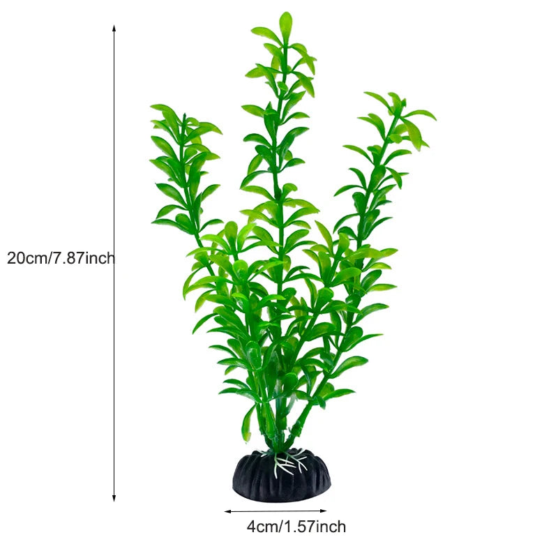 Plantas Acuáticas Para Peceras.