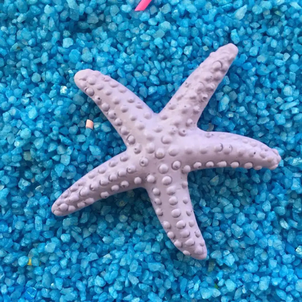 Estrella De Mar Decoración.