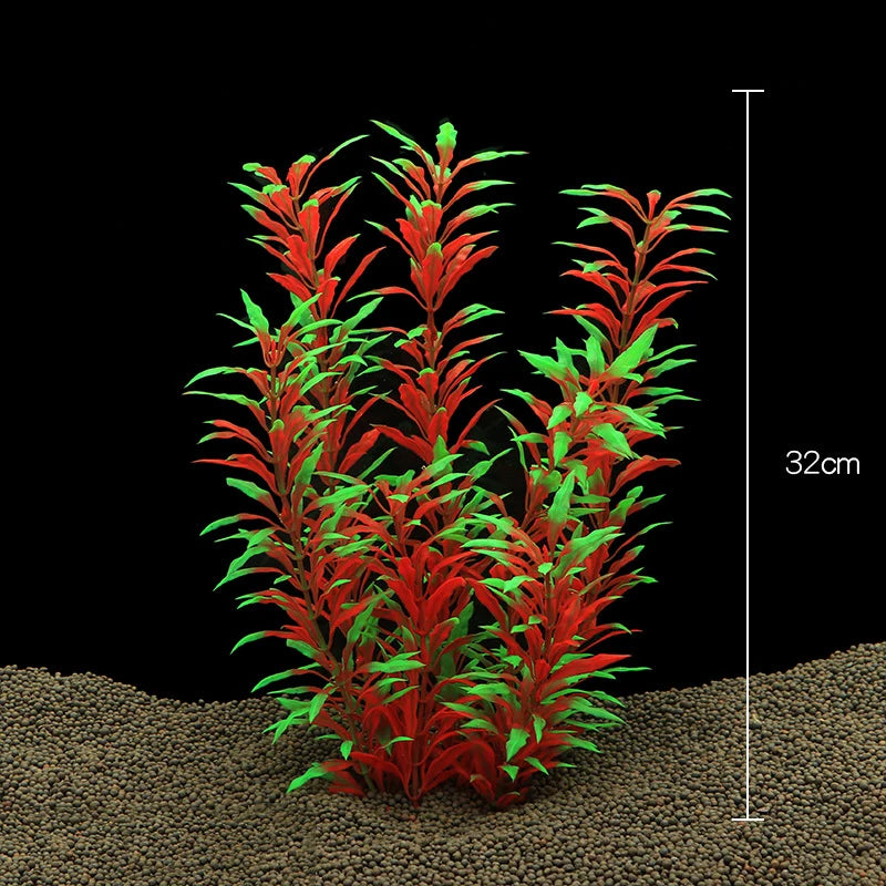 Plantas Acuáticas Para Peceras.