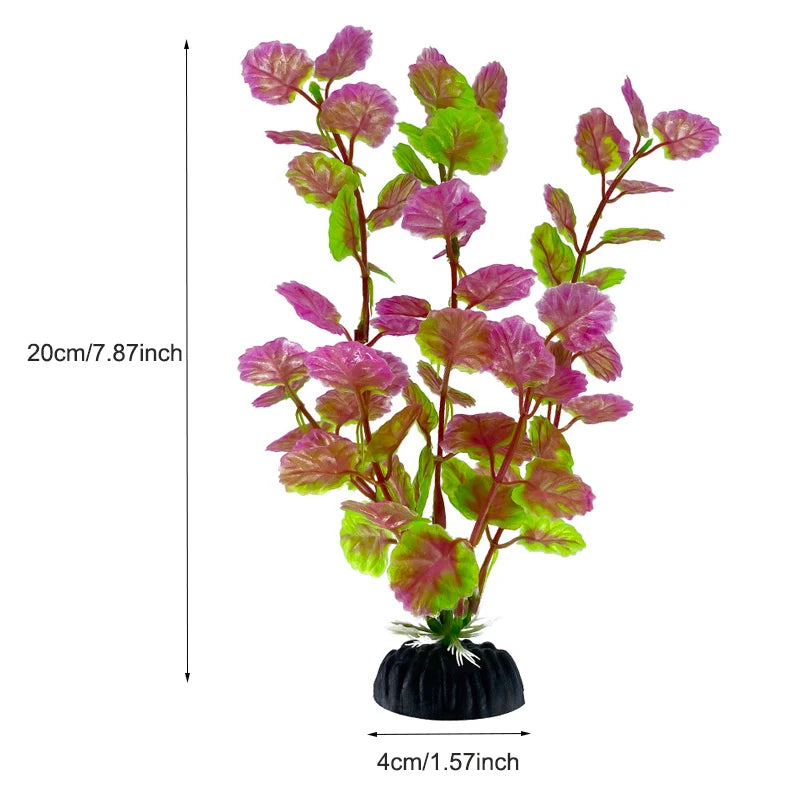 Plantas Acuáticas Para Peceras.