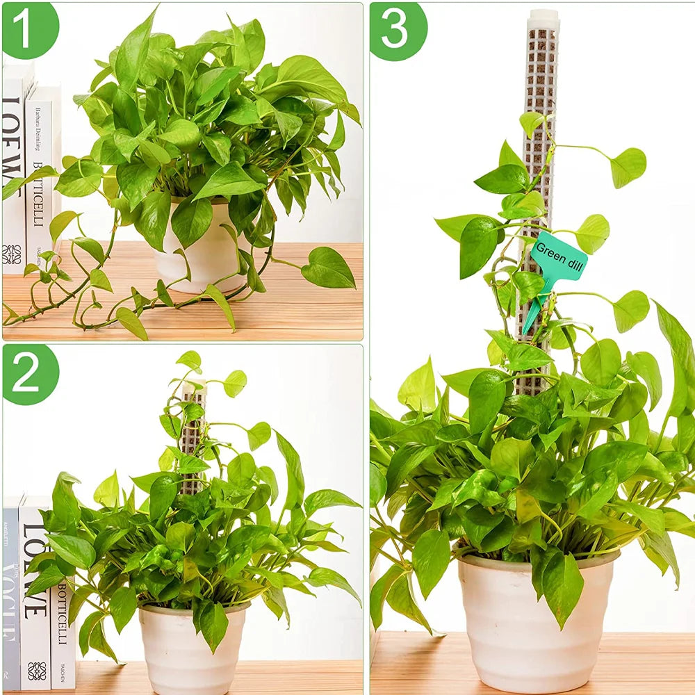 Bastón Soporte Para Plantas Trepadoras.