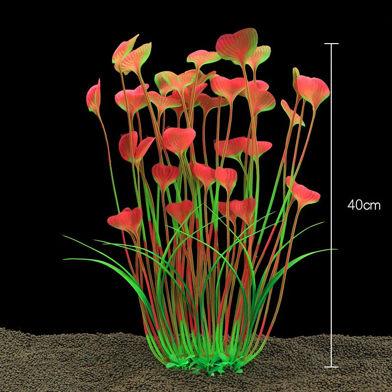 Plantas Acuáticas Para Peceras.