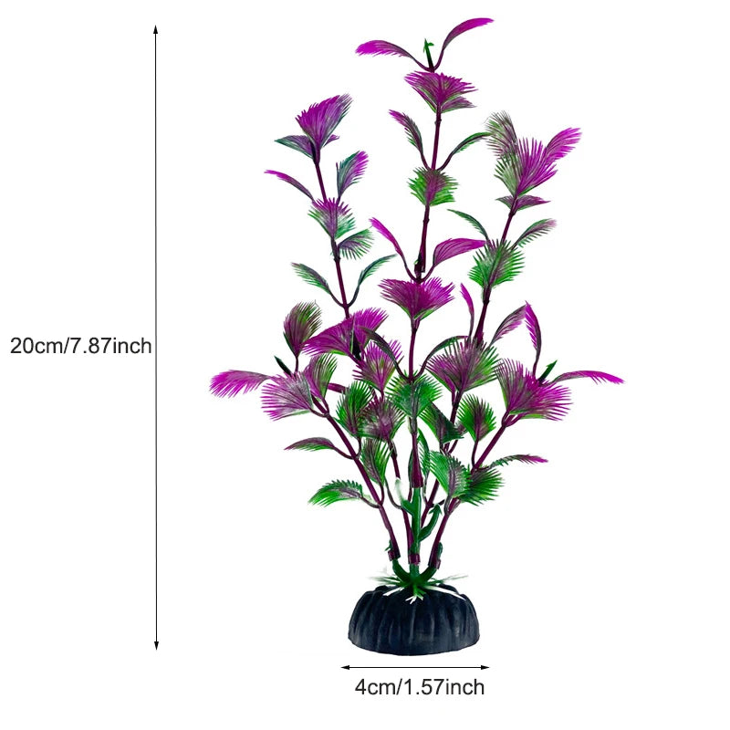 Plantas Acuáticas Para Peceras.