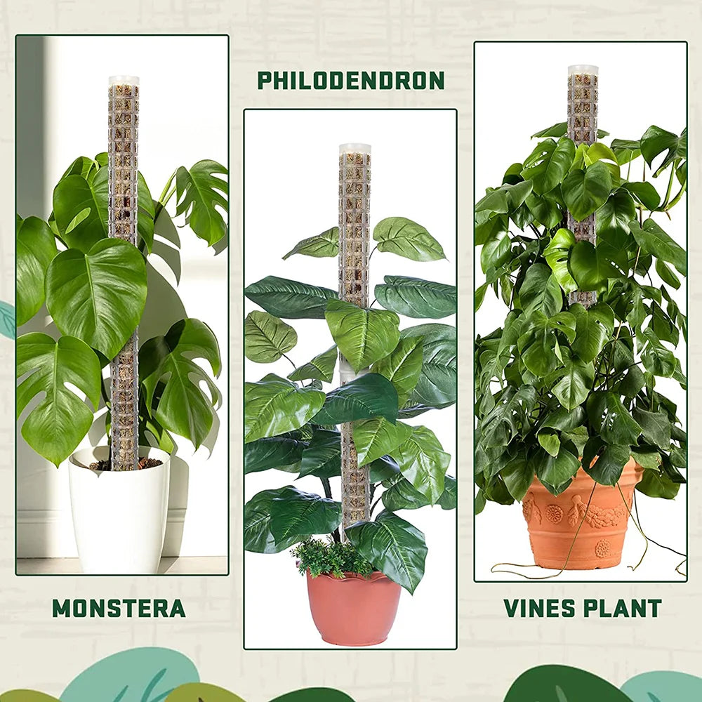 Bastón Soporte Para Plantas Trepadoras.