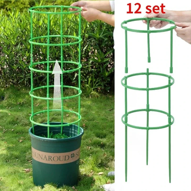 Soporte Para Plantas Trepadoras