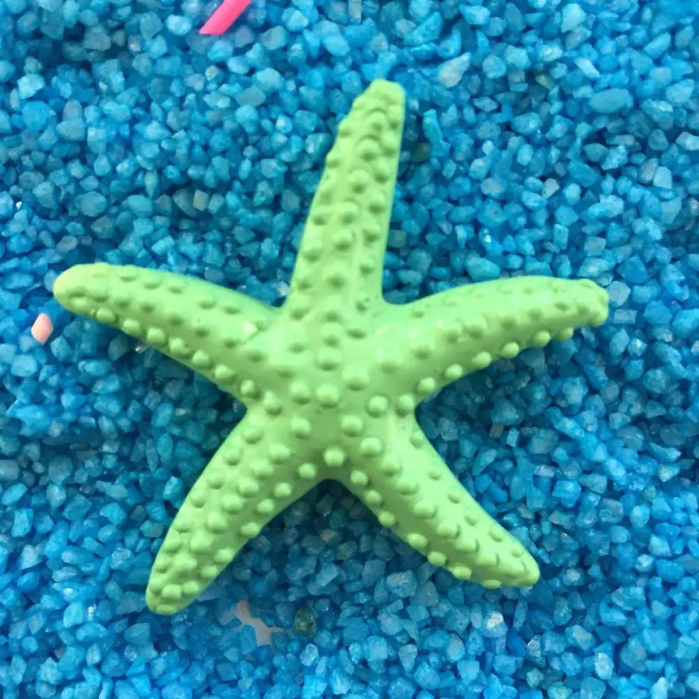 Estrella De Mar Decoración.