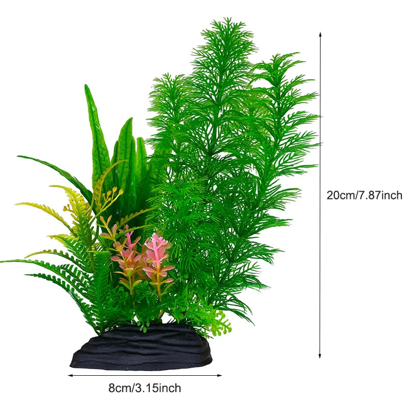 Plantas Acuáticas Para Peceras.