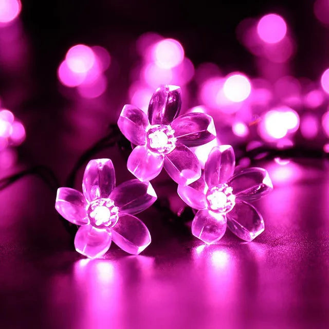 Luces Solares LED.