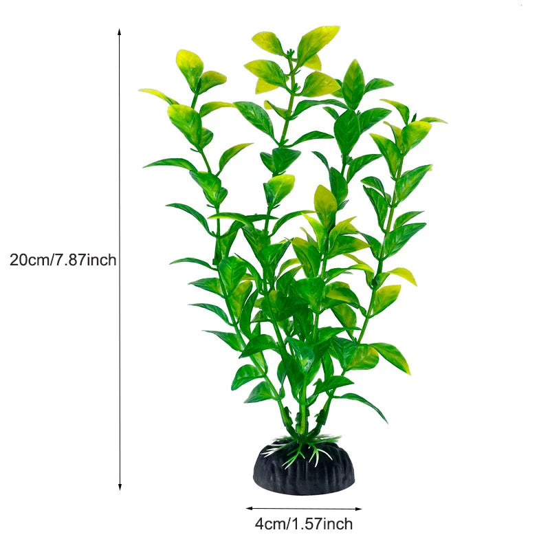 Plantas Acuáticas Para Peceras.