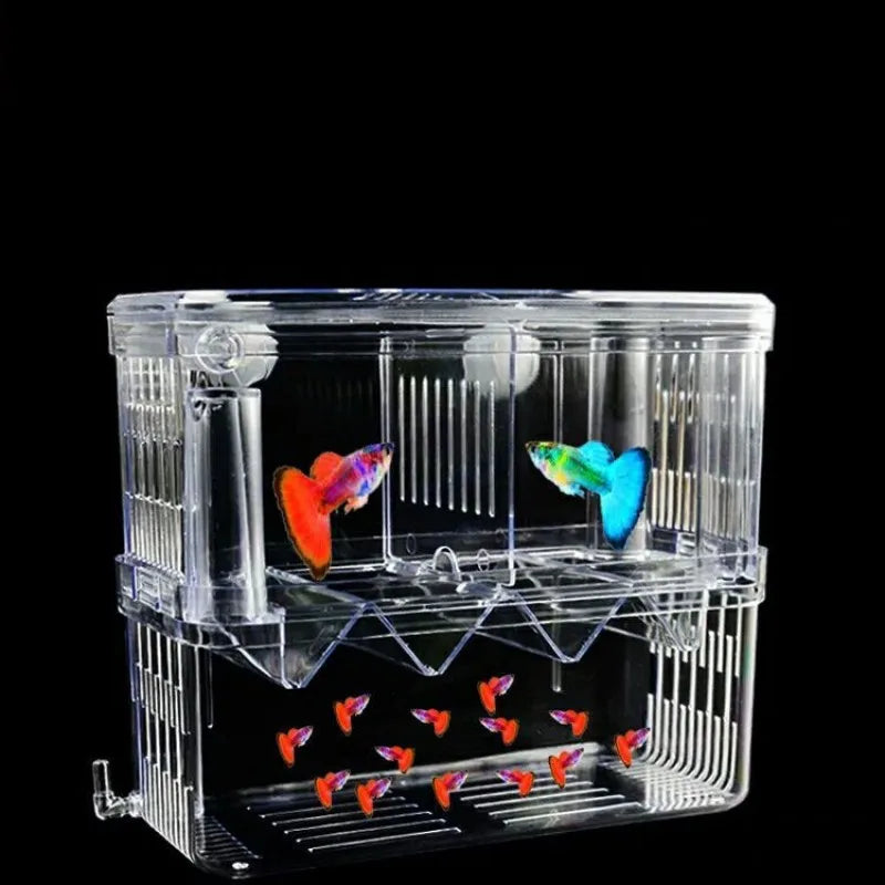 Caja De Cría Para Peces.