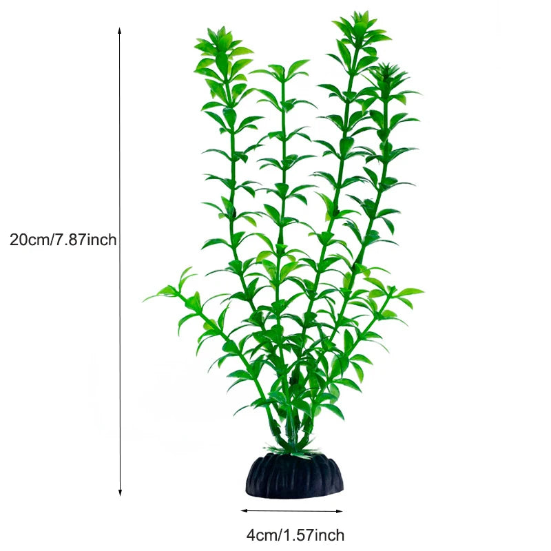 Plantas Acuáticas Para Peceras.