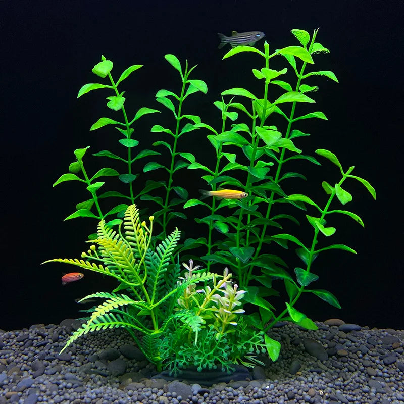 Plantas Acuáticas Para Peceras.