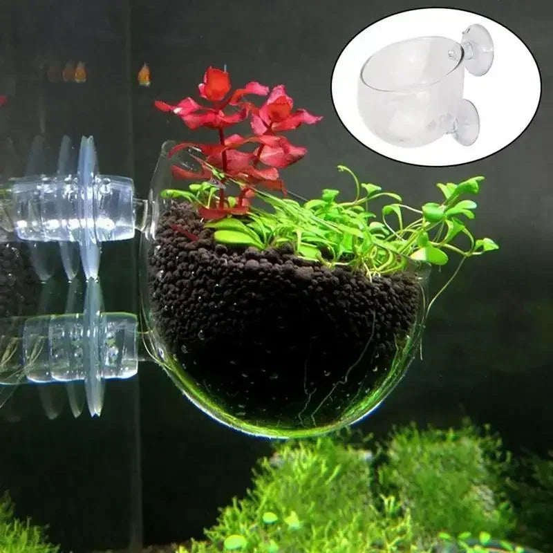 Decoración De Acuario.