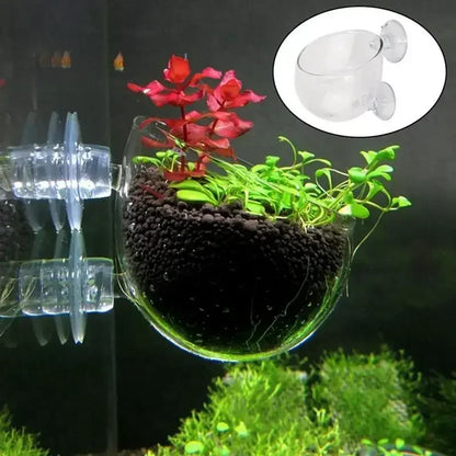 Decoración De Acuario.