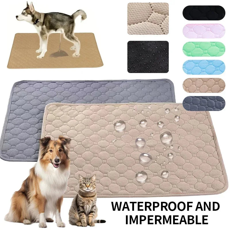 Alfombra Para Mascotas.
