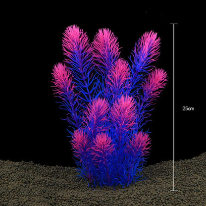 Plantas Acuáticas Para Peceras.