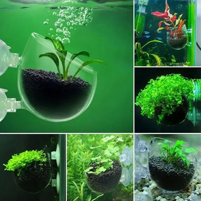 Decoración De Acuario.