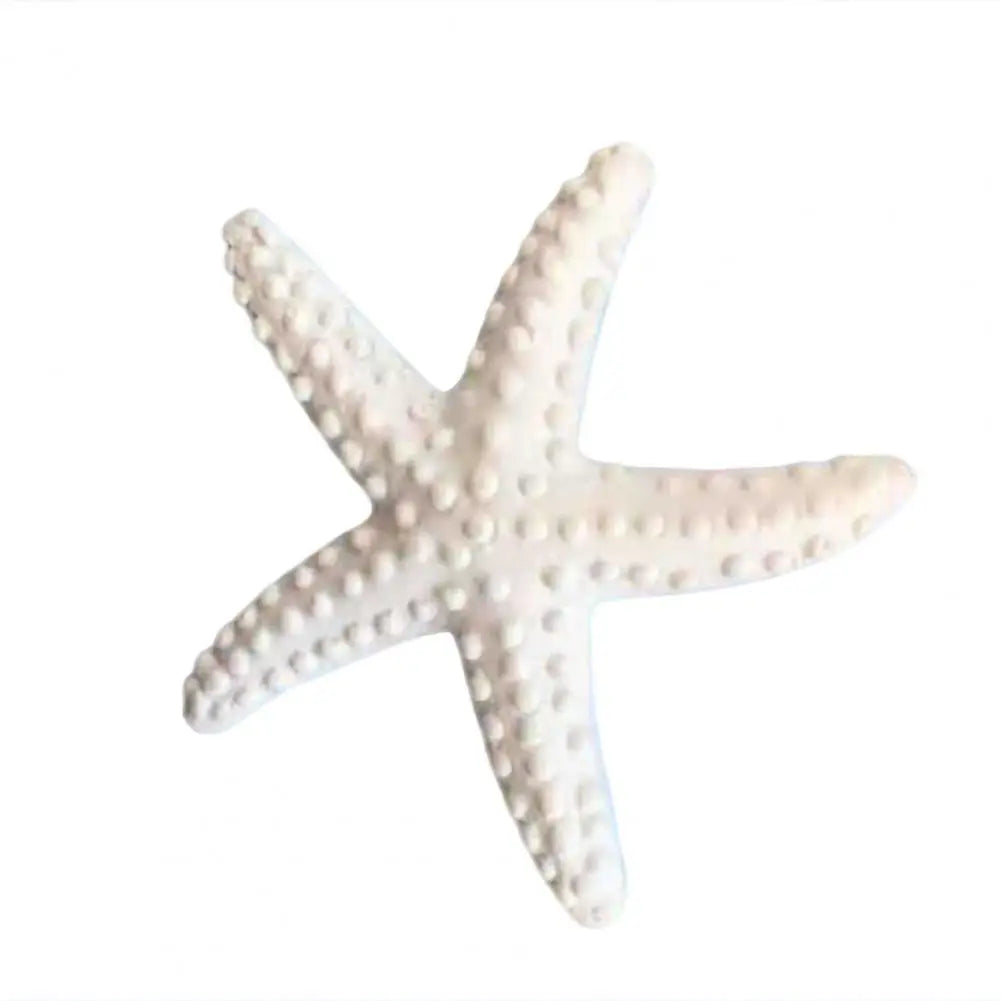 Estrella De Mar Decoración.