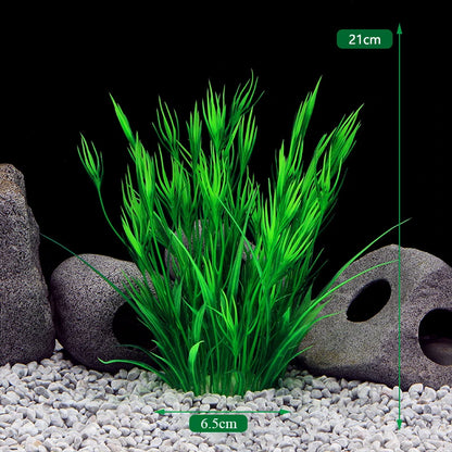 Plantas Acuáticas Para Peceras.