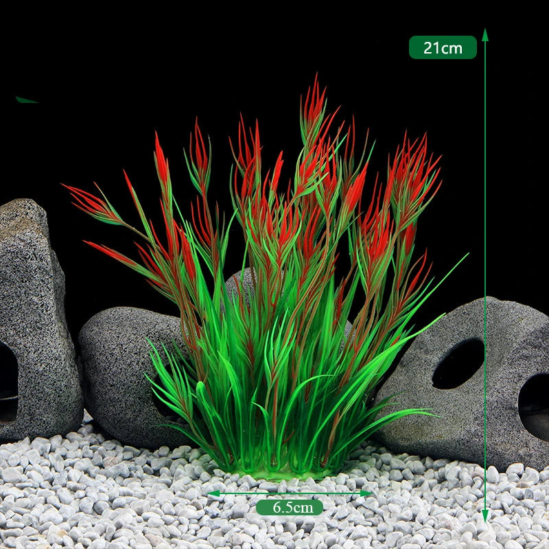 Plantas Acuáticas Para Peceras.