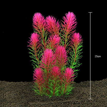 Plantas Acuáticas Para Peceras.
