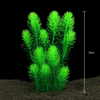 Plantas Acuáticas Para Peceras.
