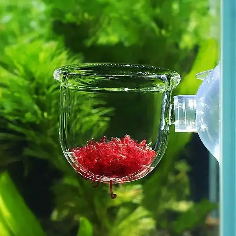 Decoración De Acuario.