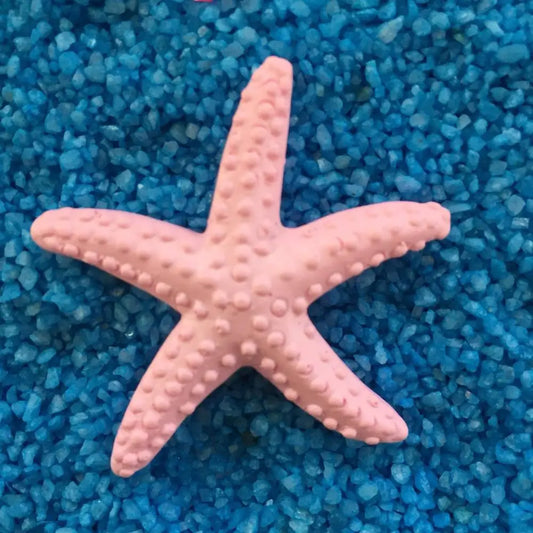 Estrella De Mar Decoración.