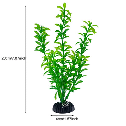 Plantas Acuáticas Para Peceras.