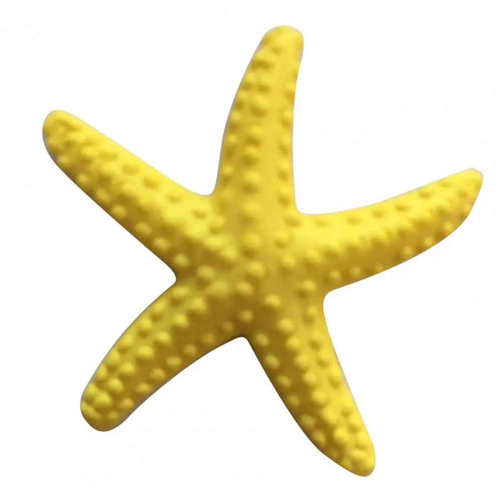 Estrella De Mar Decoración.