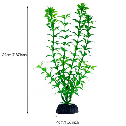 Plantas Acuáticas Para Peceras.