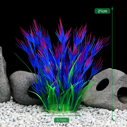 Plantas Acuáticas Para Peceras.